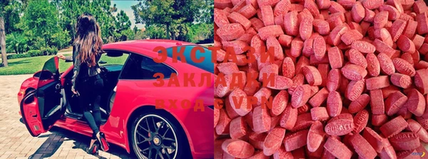 стафф Абинск