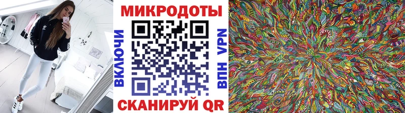купить наркотик Курчатов Псилоцибиновые грибы Psilocybine cubensis